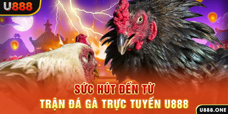 tf88 đăng nhập poker 2024