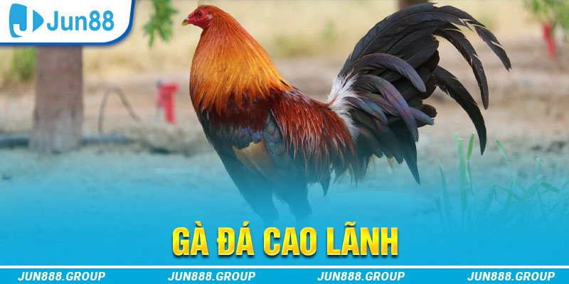 tf88 tai game vua bai ve may tinh