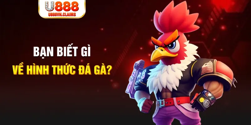 tf88 đăng nhập liêng tặng tiền