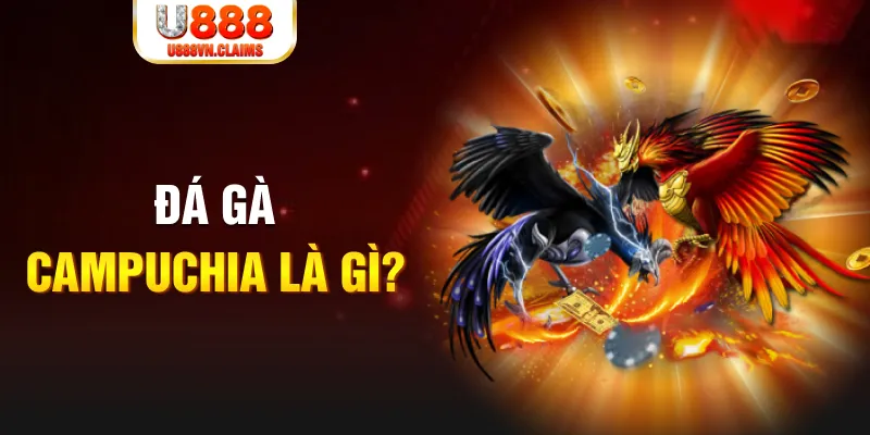 tf88 what is the best online casino for real money