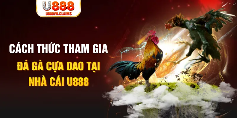 tf88 đá gà 88.com