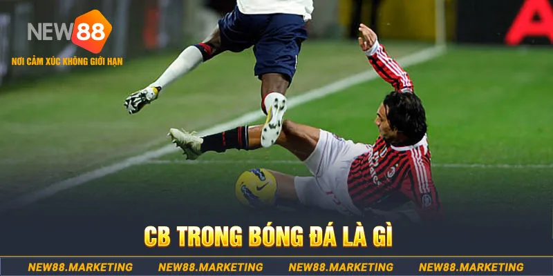 tf88 DG Trực Tuyến