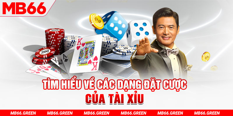 tf88 what is a casino loyalty program