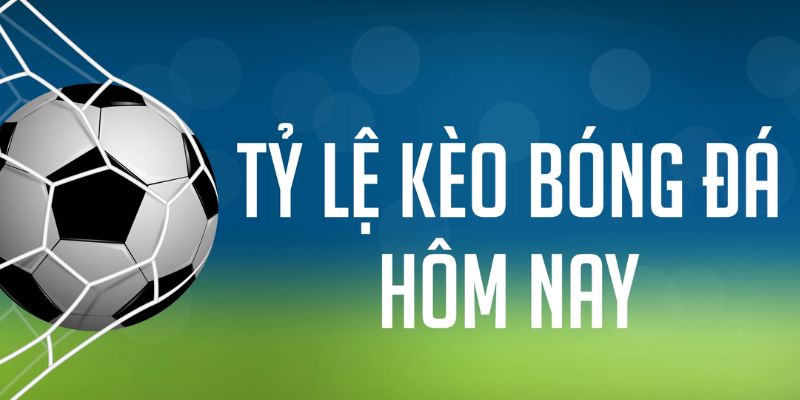 tf88 đăng nhập phỏm
