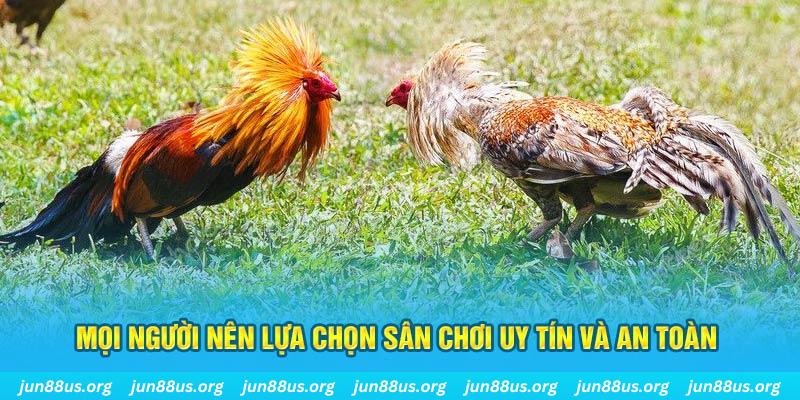 tf88 đăng nhập poker 2025