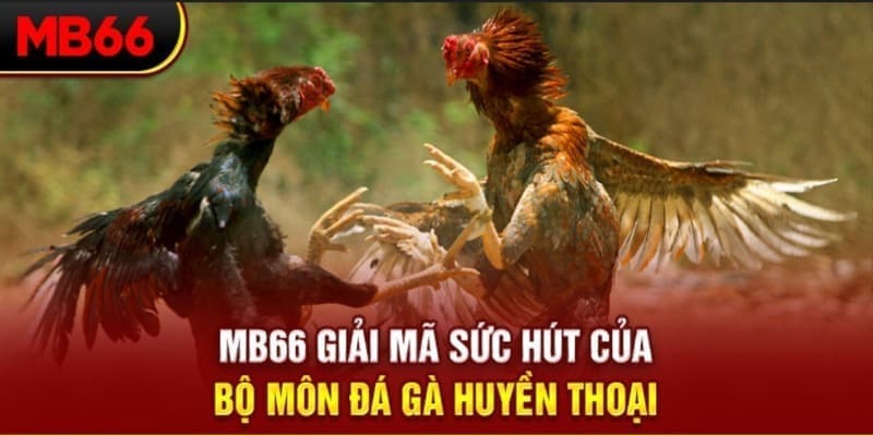 tf88 xổ số đài bắc