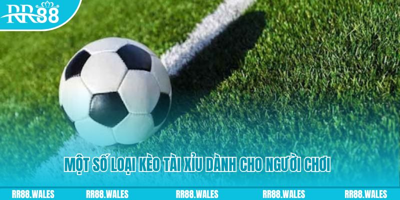 tf88 slot nghĩa là gì