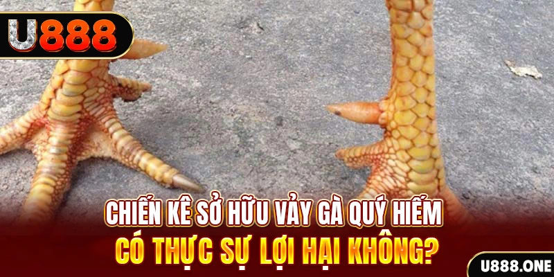 tf88 xổ số miền trung