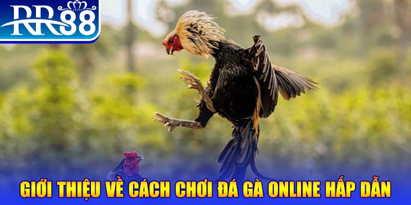 tf88 bắn cá h5 là gì