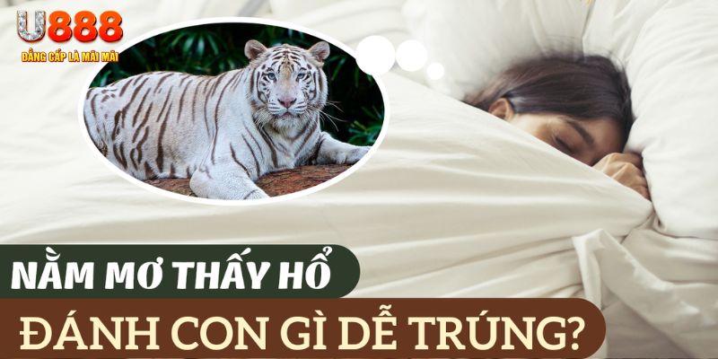 tf88 nohu .mx nổ hủ là gì