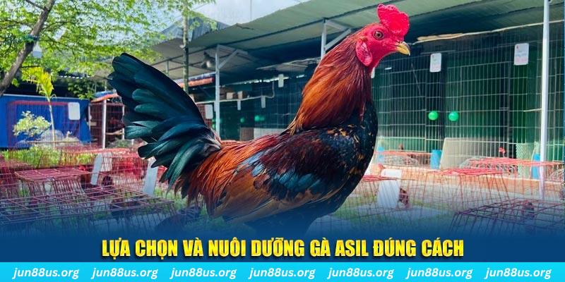 tf88 nổ hũ thần tài là gì