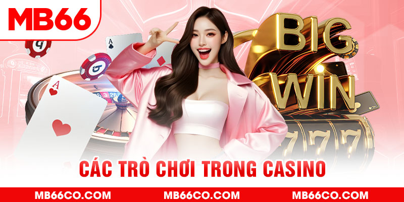 tf88 chổi lông gà