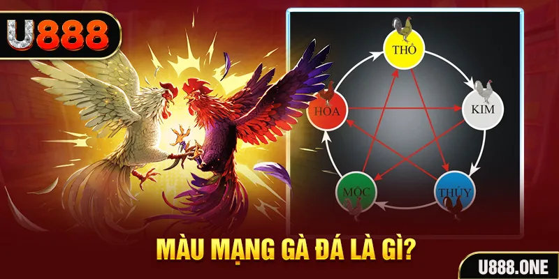 tf88 V8 Game Bài 3d