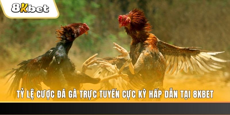 tf88 xổ số miền bắc chủ nhật