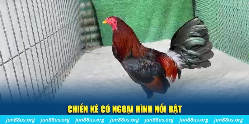 tf88 qq88 bắn cá