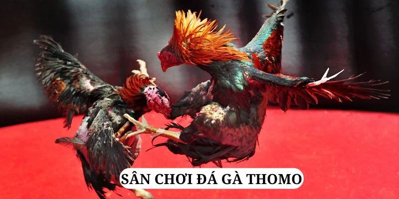 tf88 quay nổ hũ là gì