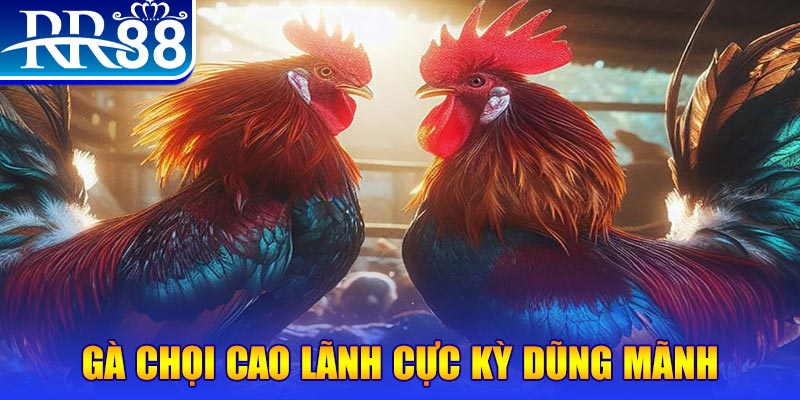 tf88 đăng nhập poker live